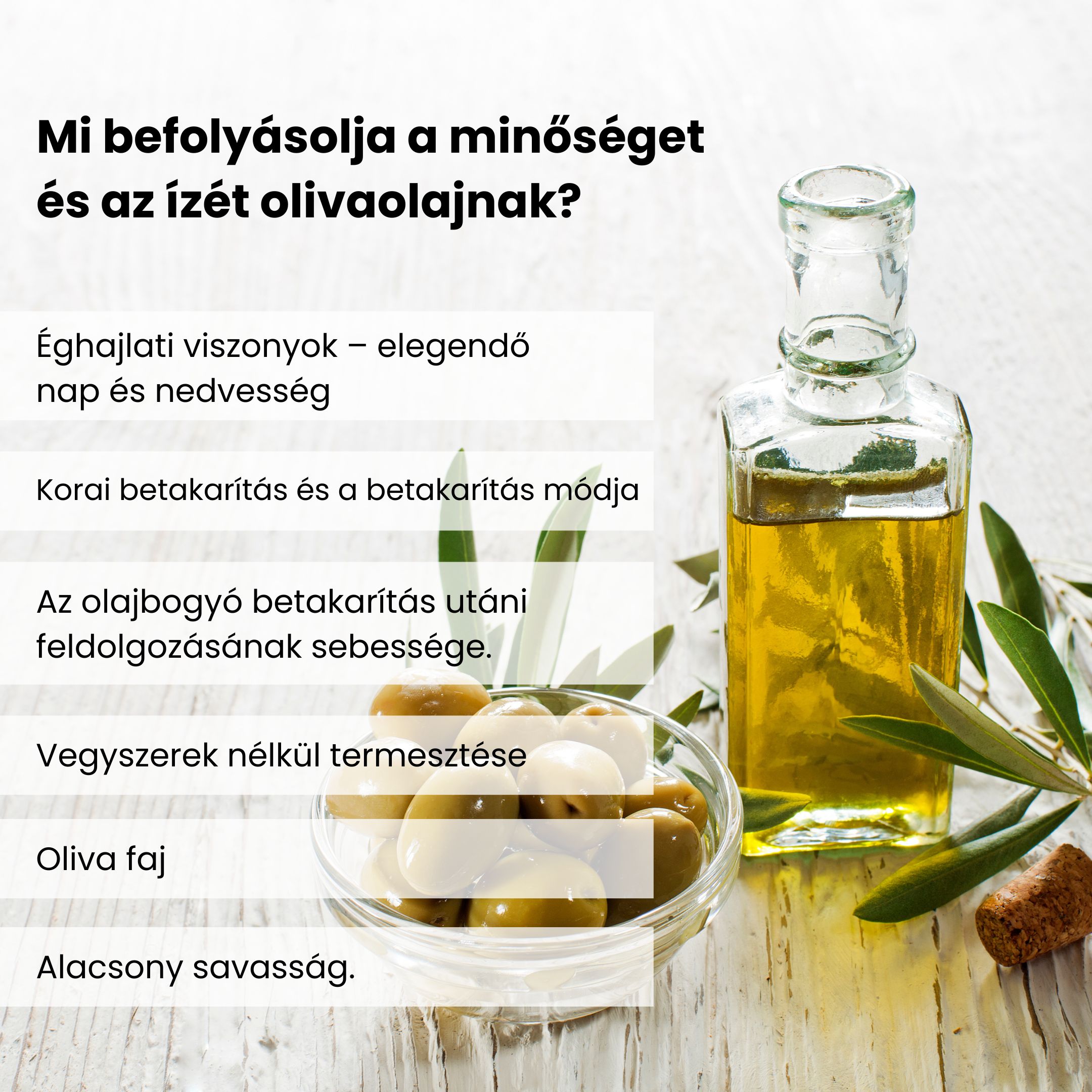 Co ovlivňuje kvalitu a chuť olivového oleje